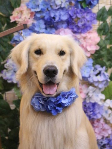 20250612レオくん